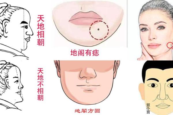 痣相软件如何帮助你提升自我认知与决策能力