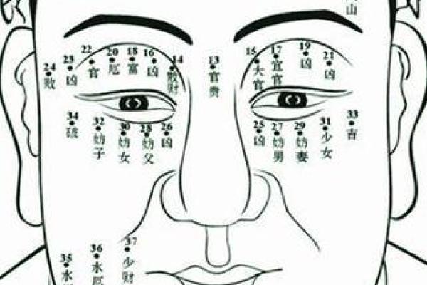 痣相软件如何帮助你提升自我认知与决策能力