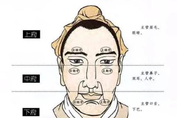 剑眉面相揭示的性格特点与命运走向分析
