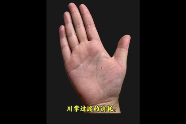 通过苦命手相看人生：命运是否注定？