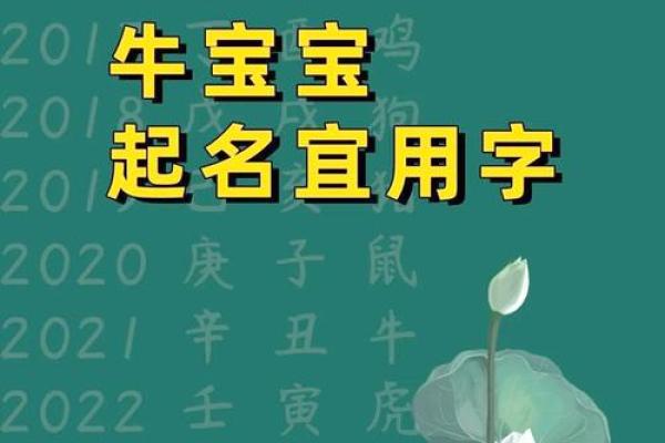 属牛宝宝起名的最佳选择