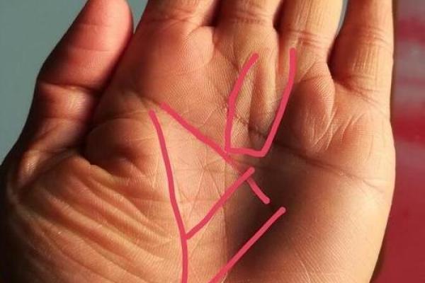 苦命手相与不易的生活：命运是否可以逆转？