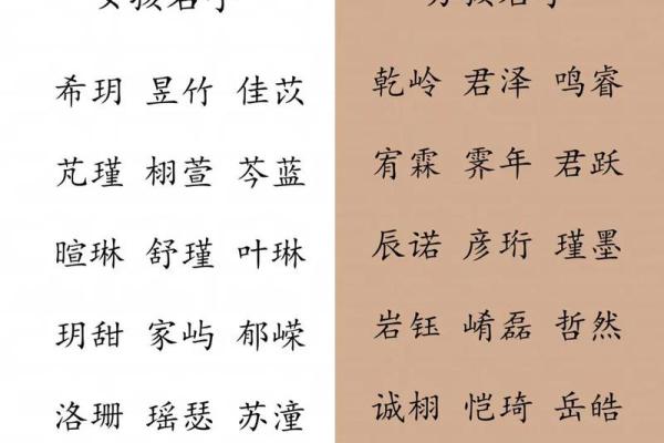 精选男宝宝名字大全 免费提供百种创意起名方案