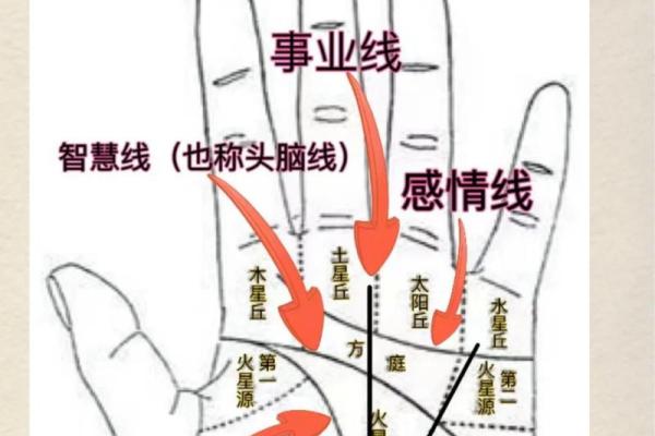 探索手相奥秘，拍照即可获得精准分析