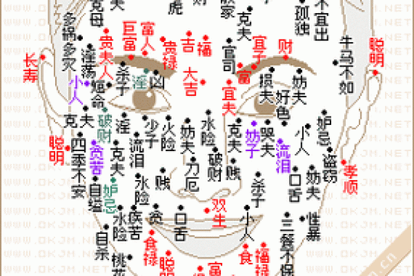 女人面部痣相解析：不同部位痣的深层含义与命运影响