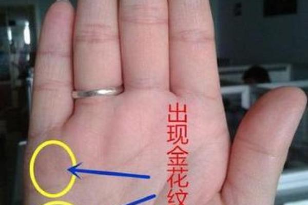 右手手相看男人命运，掌纹中的人生玄机