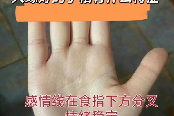 通过手相揭示你经历过多少段恋情
