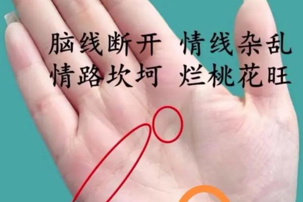 手相解密：从掌纹看你未来的生活方向