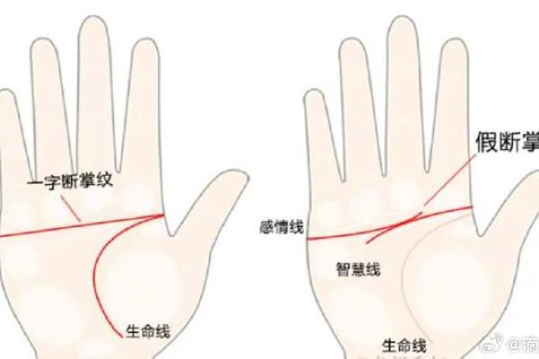 手相解密：从掌纹看你未来的生活方向