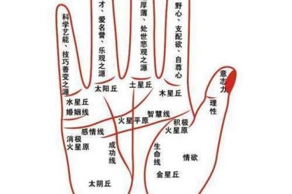 深入了解乾坤命：如何通过命理看人生运势