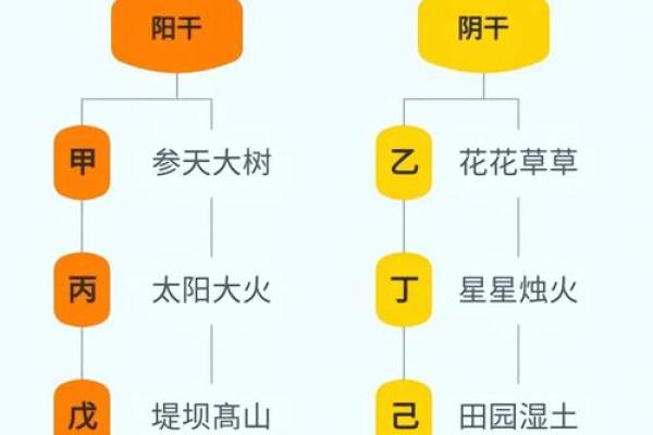 天干的起源与意义解析：探索古代文化中的十天干系统