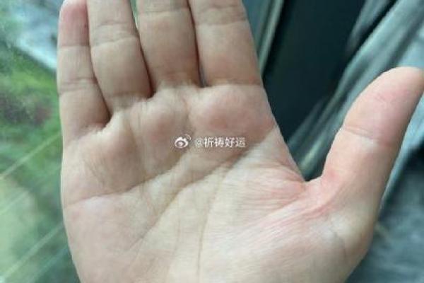 手相中的事业线：探索你职业生涯的关键迹象
