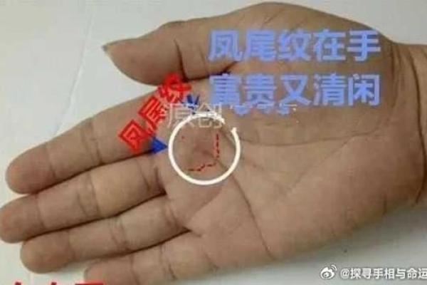 金库三角：手相中揭示财富潜力的秘密