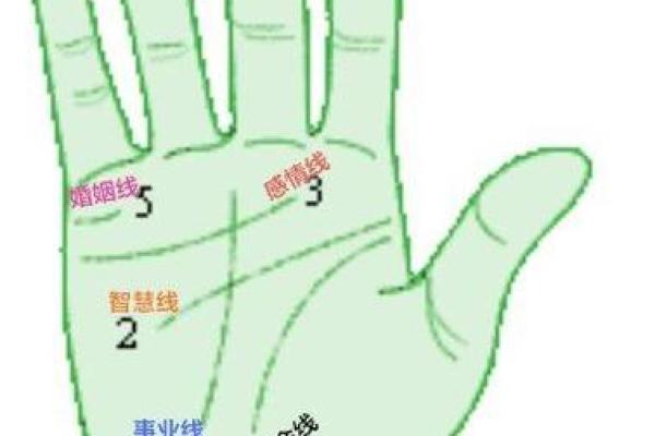 在线手相测试，免费解析你的生命线