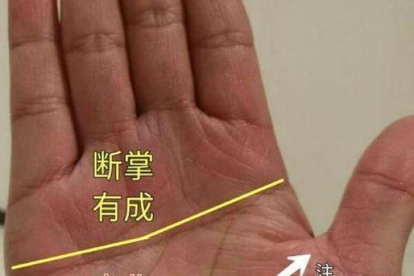 通过手相解析：哪些掌纹暗示你适合创业
