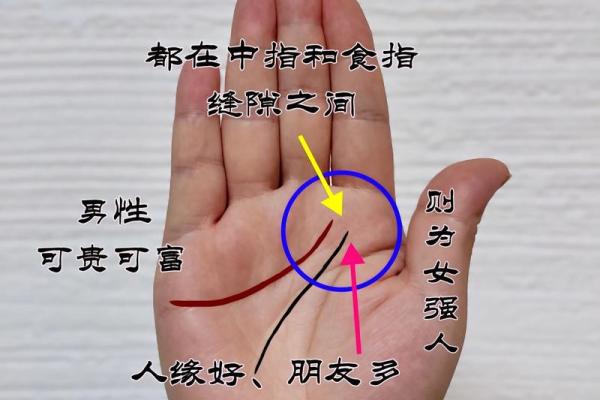 通过手相解析：哪些掌纹暗示你适合创业