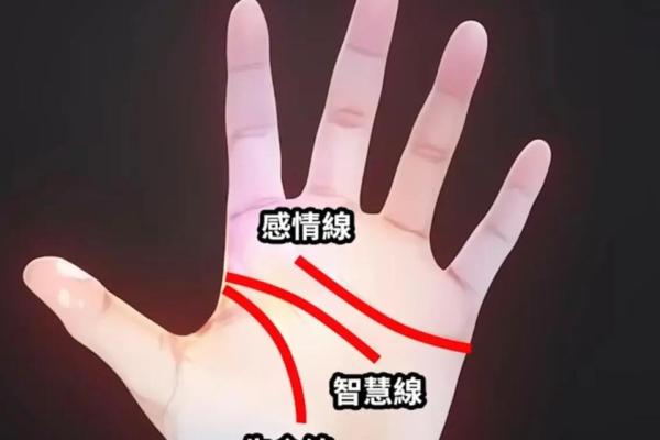 了解手相学：从掌纹看出你的性格与命运