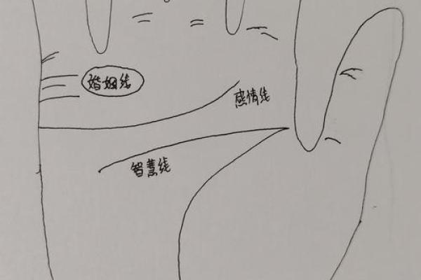 了解手相学：从掌纹看出你的性格与命运