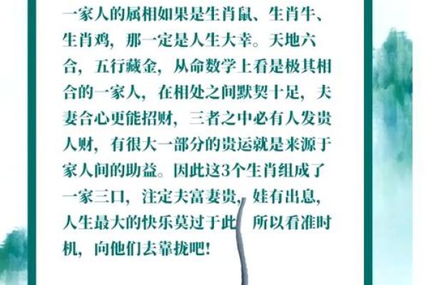 属鼠女宝宝名字推荐，寓意吉祥，性格完美