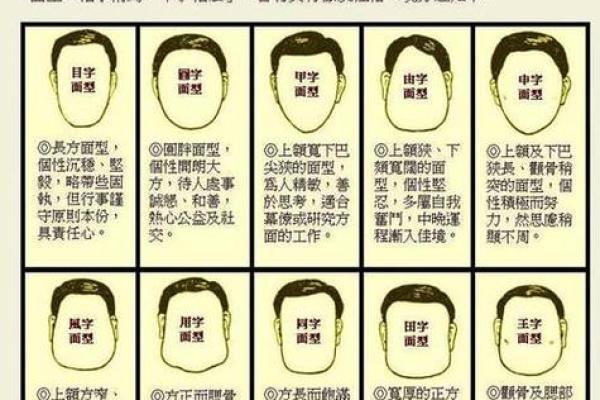 从面相看运势：解读不同面部特征的命理含义