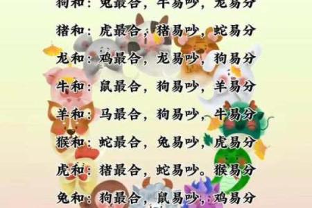 属猪男与属鼠女是否合适做伴侣？
