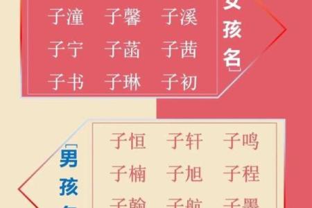 宝宝起名公司如何通过命理学为宝宝取名