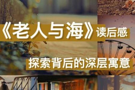 轻奇巧妙之命的深层解读与人生启示