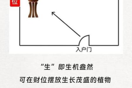 如何利用风水财位提升家中运势与财富运道