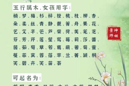 木命宝宝取名指南：为宝宝选择寓意深远的木属性名字