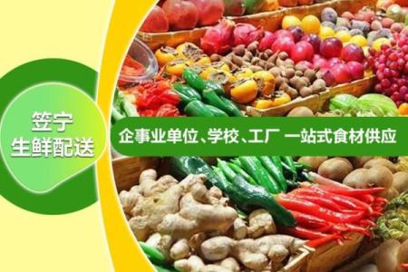 食品蔬菜配送公司命名创意指南与建议