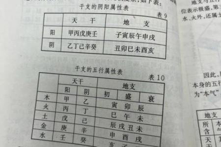 深入了解天干排列对命理学的影响