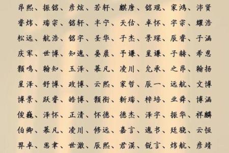 扬州起名公司：如何选择适合自己孩子的名字