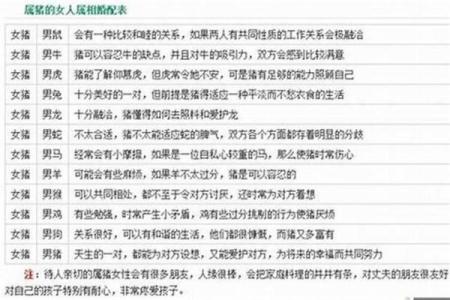 属猪男与属兔女的感情默契与挑战