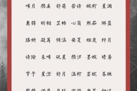 苗姓女孩起名推荐：温婉又有气质的名字选取指南
