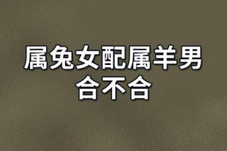 属猪男和属兔女在爱情中的相处之道