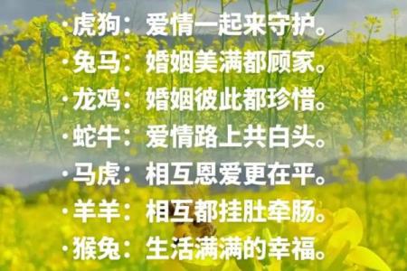 属马与属兔的性格配对 合适做伴侣吗