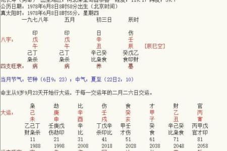 了解胞胎日命理：出生日期如何影响人生轨迹