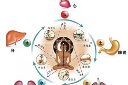 五术命理与人生规划：如何通过五术掌握未来