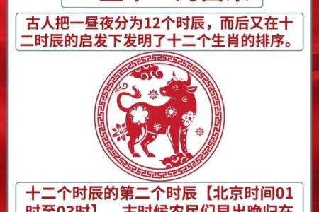 水牛命的命运特点与性格特征