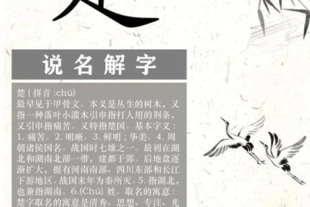 男宝宝取名灵感来源于楚辞的诗意与韵味