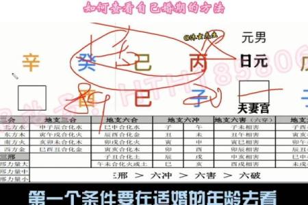 命理要术的应用：从八字看人生的转折点