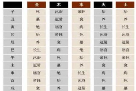 天干查询表入门指南：基础知识与应用技巧