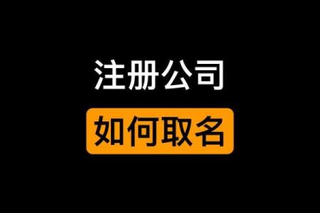 如何选择合适的石家庄起名公司为您命名