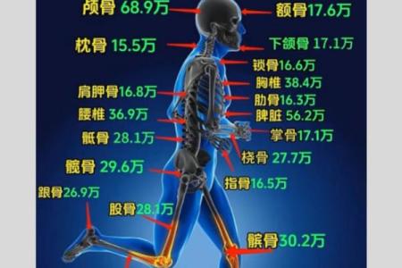 什么是光棍命？了解背后的命理密码