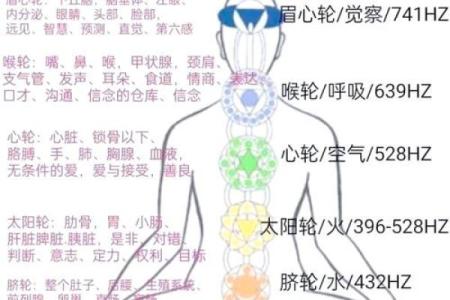 饿木命是什么？揭开五行命理中的神秘面纱