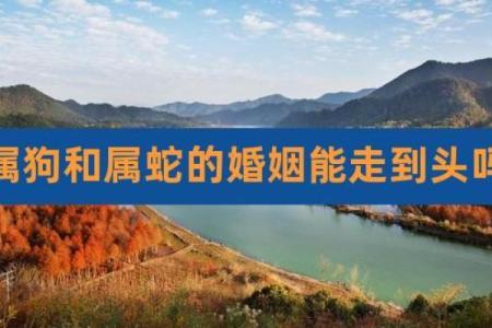 属狗与属蛇的感情兼容性：是缘分还是挑战？