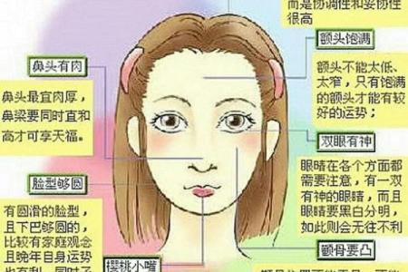 阴命人的命运特征与人生解析