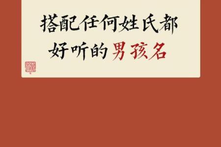 最受欢迎的男宝宝名字选择指南