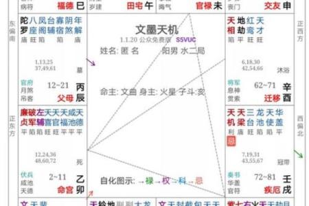 排盘推荐：选择适合你的命理工具