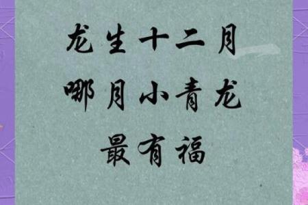 深圳新生儿起名推荐：从地方文化到现代流行趋势